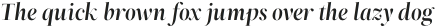 ZT Neue Ralewe Black Semi Expanded Italic otf (900)