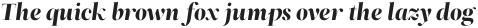 ZT Neue Ralewe Light Semi Condensed Italic otf (300)