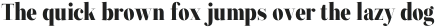 ZT Neue Ralewe Extra Light Condensed Italic otf (200)