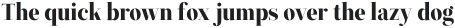 ZT Neue Ralewe Light Italic otf (300)