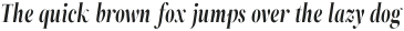 ZT Neue Ralewe Semi Bold Condensed Italic otf (600)