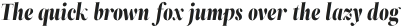 ZT Neue Ralewe Medium Italic otf (500)