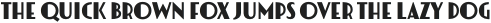 Luks Deco Black otf (900)