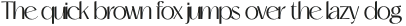 Mogent otf (400)