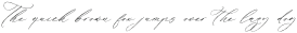 Hearthad Majestic Italic otf (400)