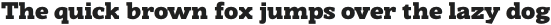 Nuga Extra Bold otf (700)