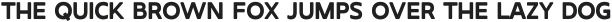 Flamengo Regular otf (400)