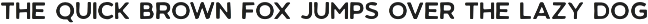 CITRUS GARDEN - vintage sans serif font preview