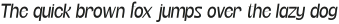 Etnier-Oblique otf (400)