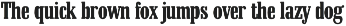 Malboro Font - Serif Font font preview