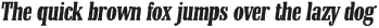 Malboro Rough Italic otf (400)