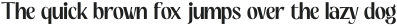 Vigilante Neu Sans otf (400)