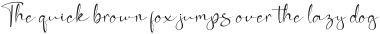 Vigilante Neue Script otf (400)