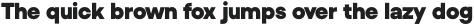 Luxe Uno Heavy otf (800)