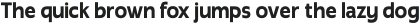 Radicle Bold Condensed otf (700)