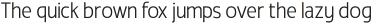 Radicle Extra Light Condensed otf (200)