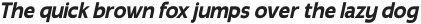 Radicle Bold Condensed Oblique otf (700)