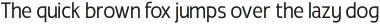 Radicle Light Condensed otf (300)