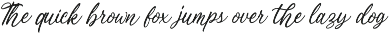 Willany - Handwritten Font preview