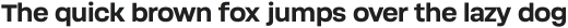 Soliden Bold ttf (700)