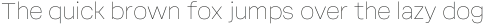 Soliden Thin ttf (100)