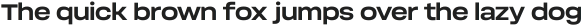 Soliden Bold Expanded ttf (700)