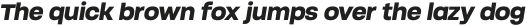 Soliden Extra Bold Oblique ttf (700)