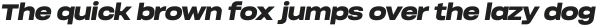 Soliden Black Expanded Oblique ttf (900)