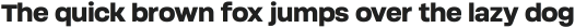 Soliden Extra Bold ttf (700)