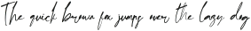 Panorama Balinesia Signature ttf (400)
