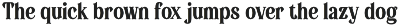 Badoney – Stylish Serif preview