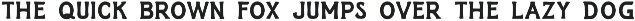 Cardano I A Serif Font preview