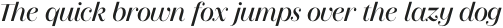 Montgat Wip Light Oblique otf (300)