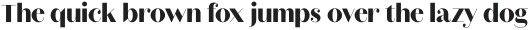 Montgat Wip ExtraBold otf (700)
