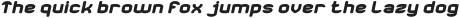 Microphone Check Bold Italic otf (700)