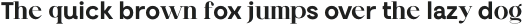 Blendix Bold otf (700)