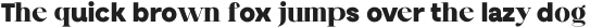 Blendix Black otf (900)