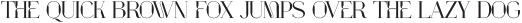 Wahmon Regular otf (400)