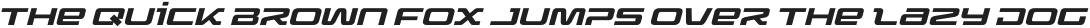 Crossfly Expanded Italic Display otf (400)