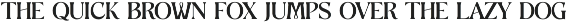 Aworm Elegant Serif Font Typeface preview