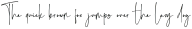 Daystar Regular otf (400)