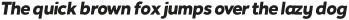 Noiche Black Italic otf (900)