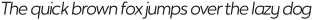 Noiche Regular Italic otf (400)