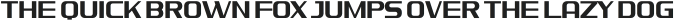 MAGISTER Regular otf (400)