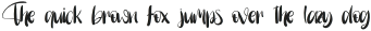 Winothe Regular otf (400)