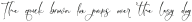 Christ White Italic Italic otf (400)