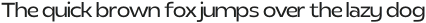 Realist Clostan Light otf (300)