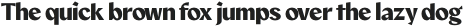 Marti Sans ExtraBold otf (700)