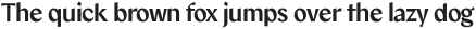 Marti Sans Variable Thin ttf (100)