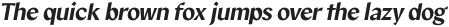 Marti Sans Light Slant otf (300)